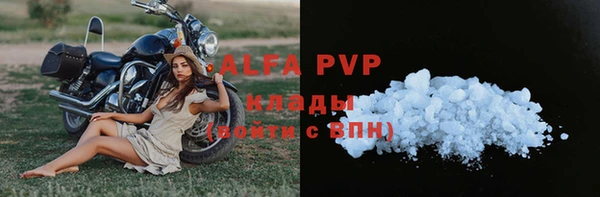 стаф Дмитриев